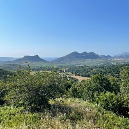 Poggio-d'Oletta Casa Di Cajucan المظهر الخارجي الصورة