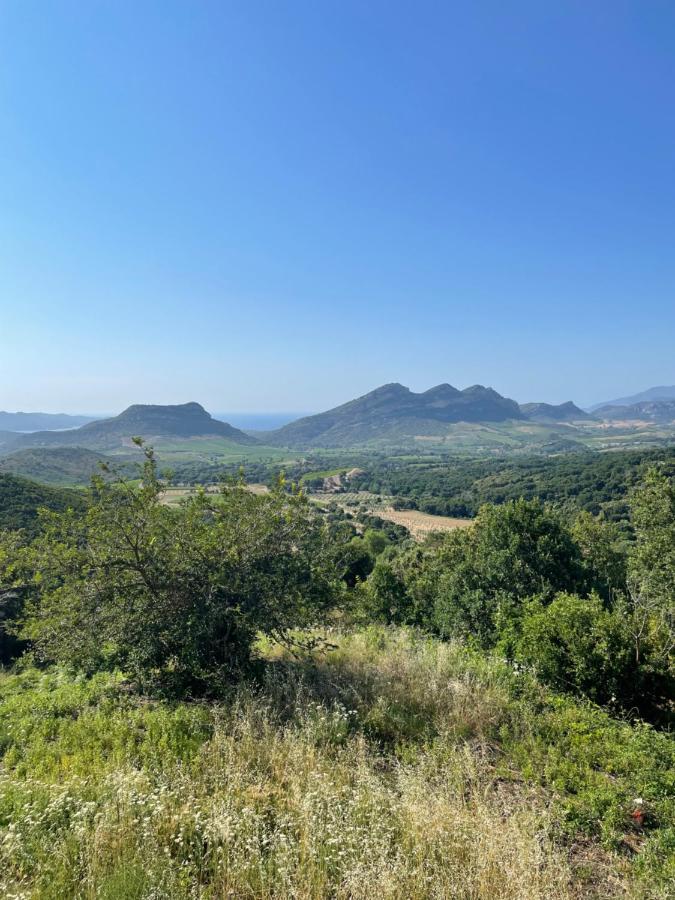 Poggio-d'Oletta Casa Di Cajucan المظهر الخارجي الصورة