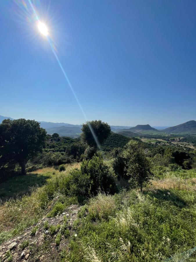 Poggio-d'Oletta Casa Di Cajucan المظهر الخارجي الصورة