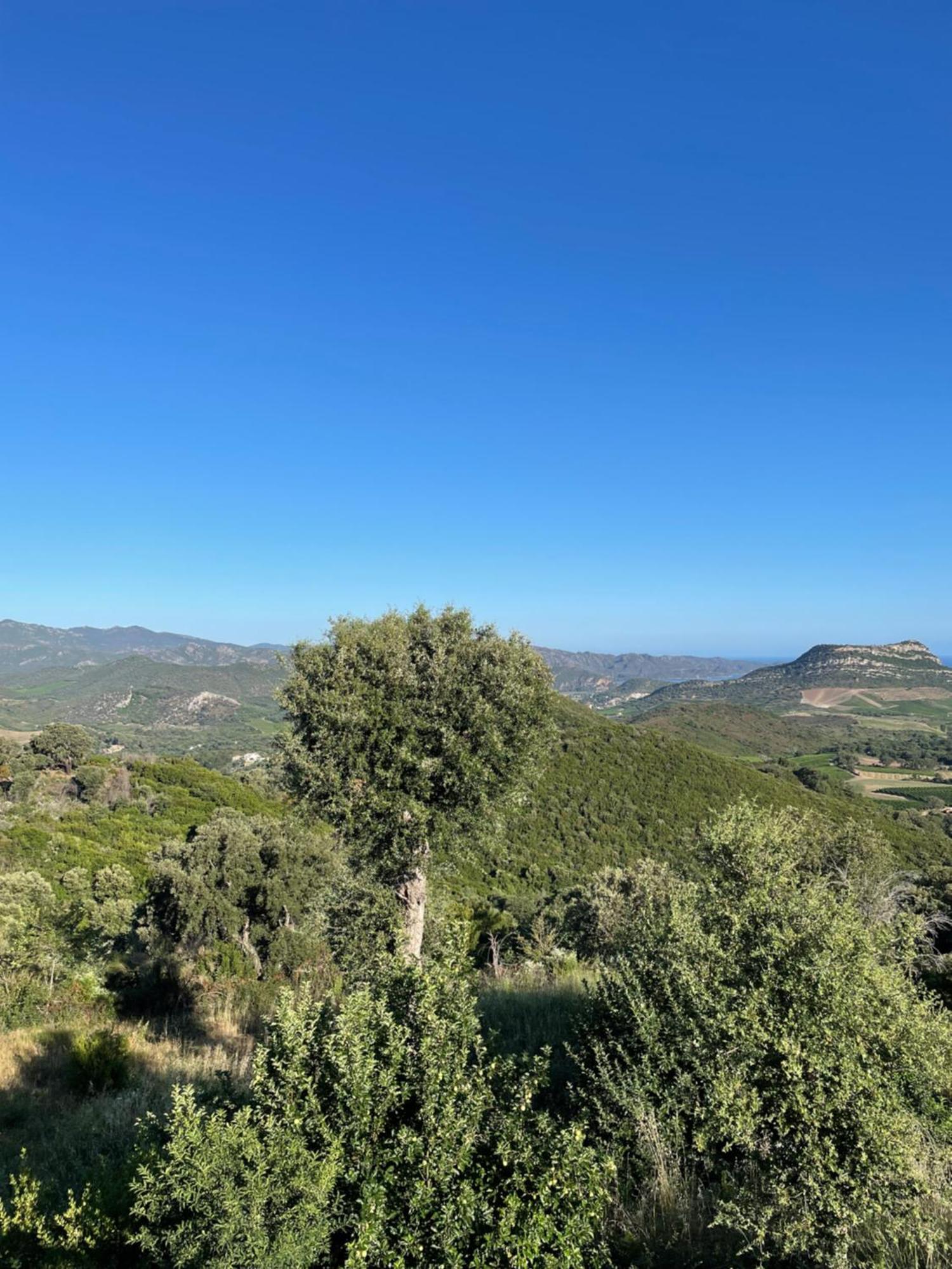 Poggio-d'Oletta Casa Di Cajucan المظهر الخارجي الصورة