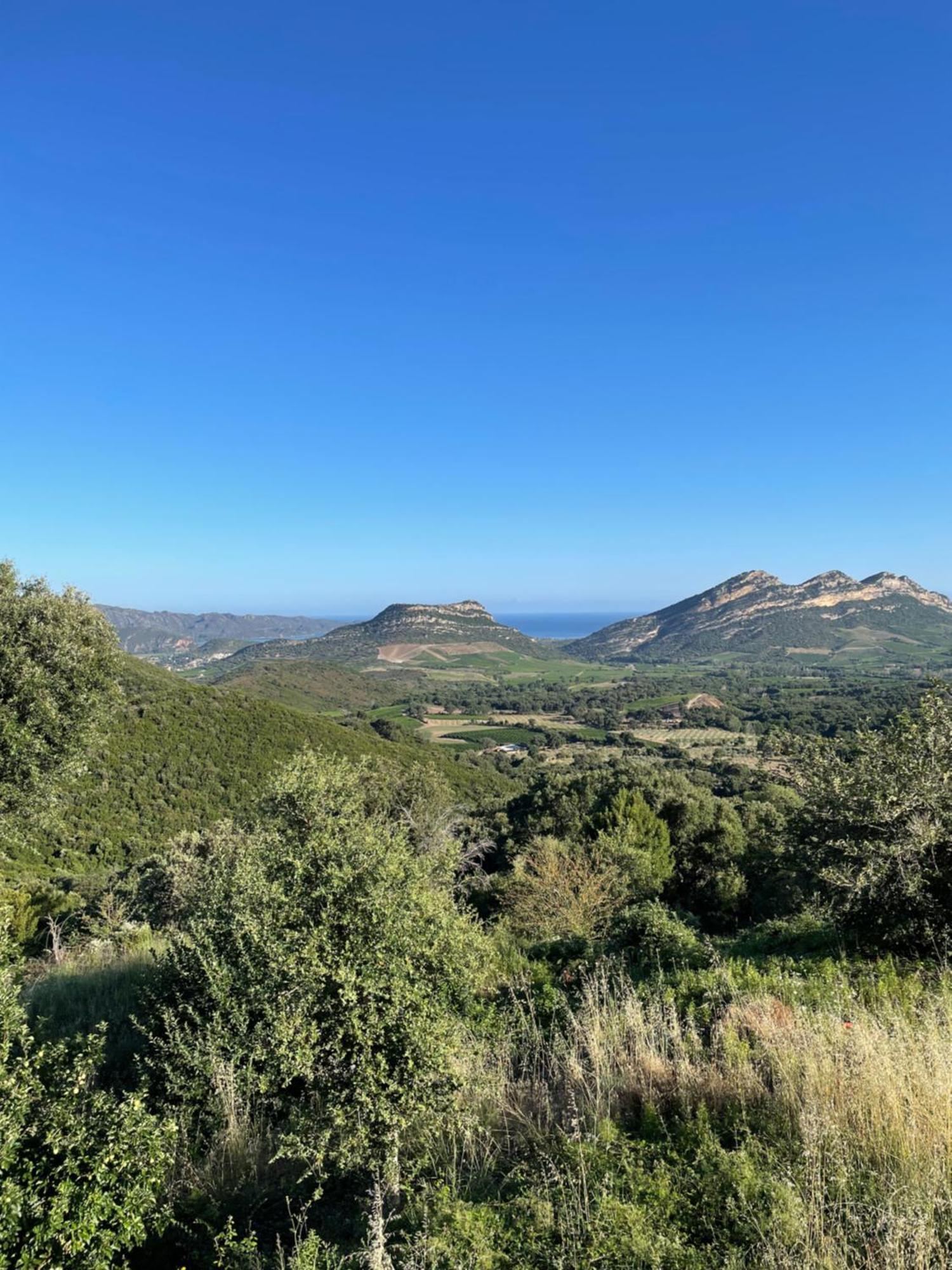 Poggio-d'Oletta Casa Di Cajucan المظهر الخارجي الصورة