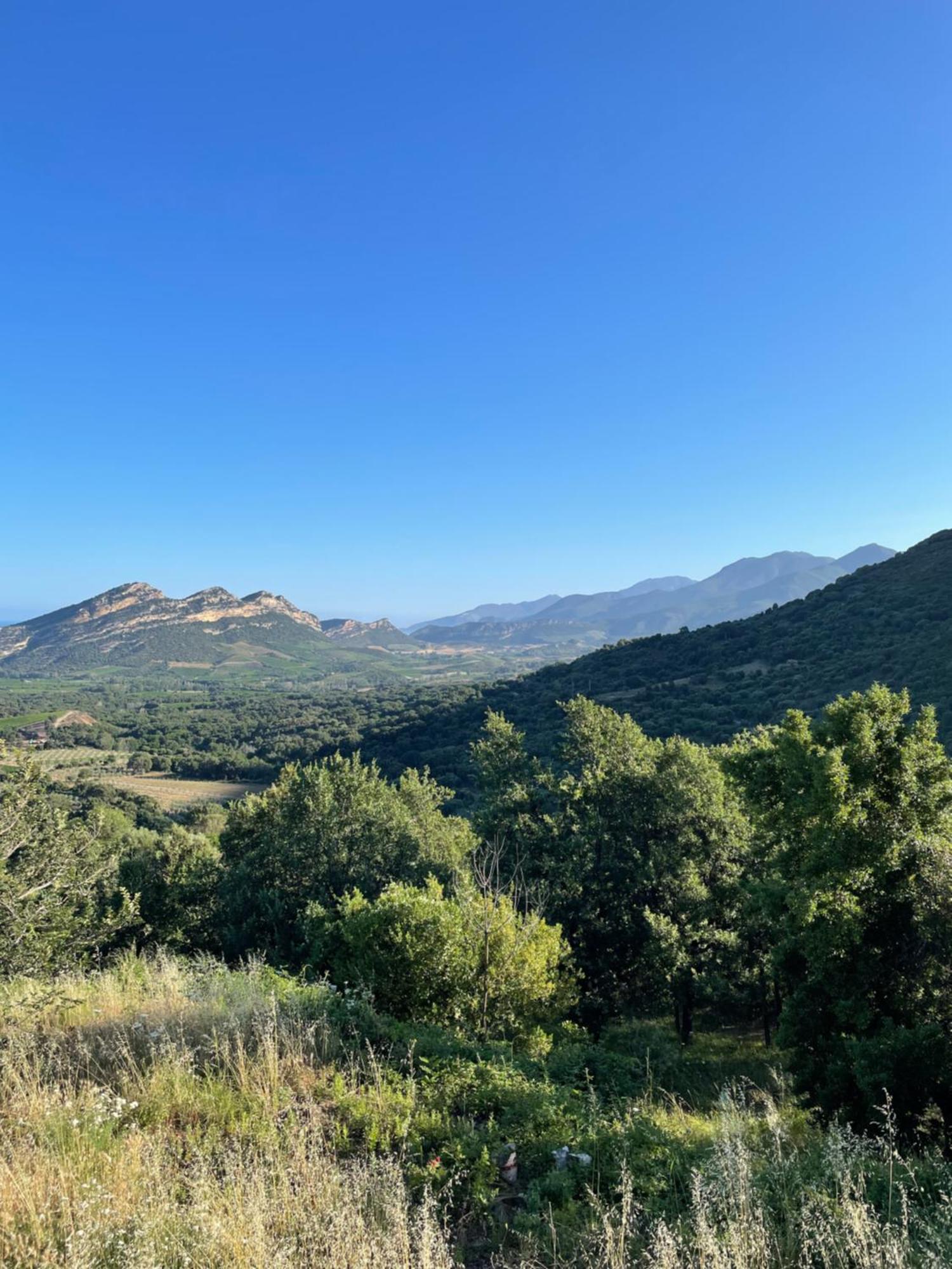 Poggio-d'Oletta Casa Di Cajucan المظهر الخارجي الصورة