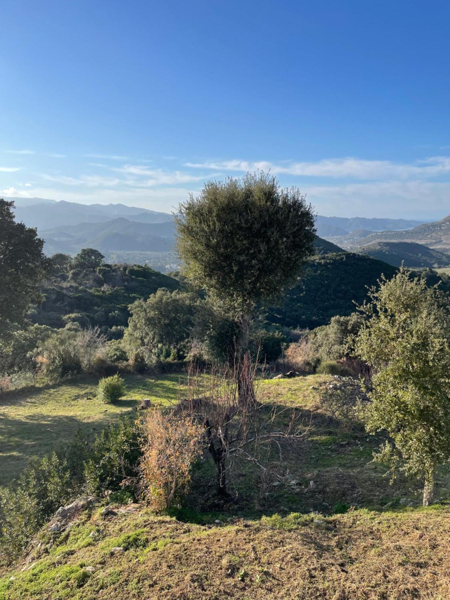 Poggio-d'Oletta Casa Di Cajucan المظهر الخارجي الصورة