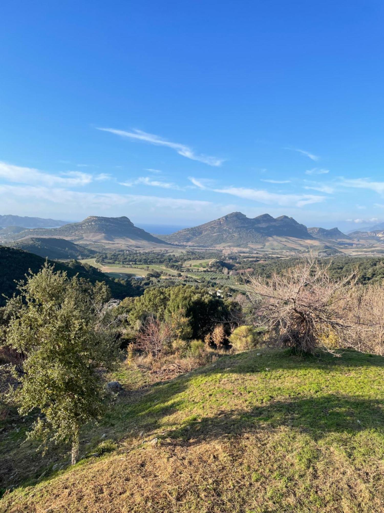 Poggio-d'Oletta Casa Di Cajucan المظهر الخارجي الصورة